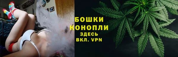 СК Дмитровск