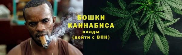 СК Дмитровск