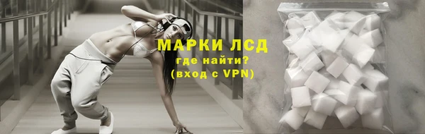 мяу мяу кристалл Дмитров