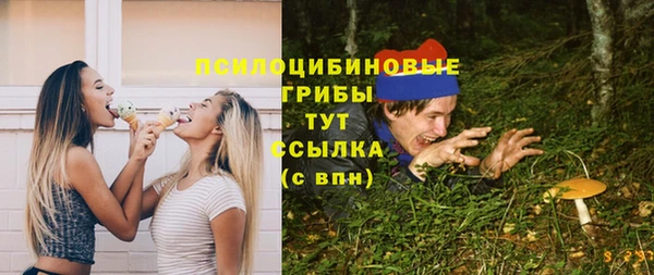 СК Дмитровск