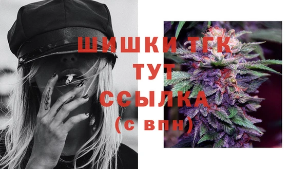 СК Дмитровск