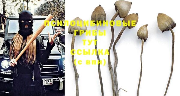 мяу мяу кристалл Дмитров