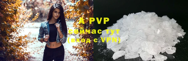 СК Дмитровск