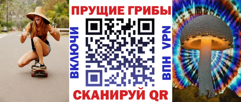 Псилоцибиновые грибы Cubensis Пошехонье